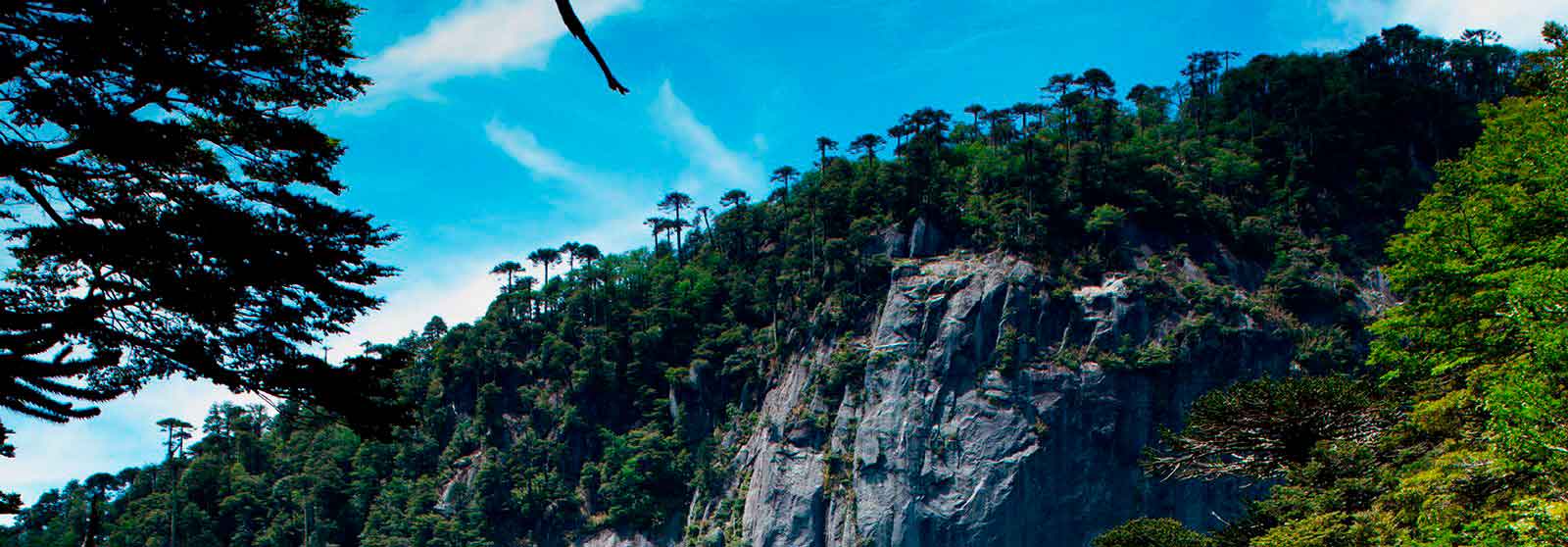 proyectos inmobiliarios pucon, venta deptos pucon