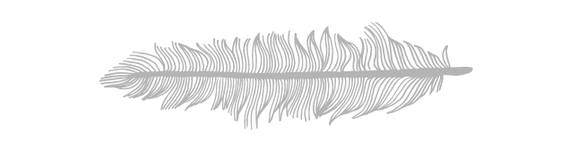 proyectos inmobiliarios pucon